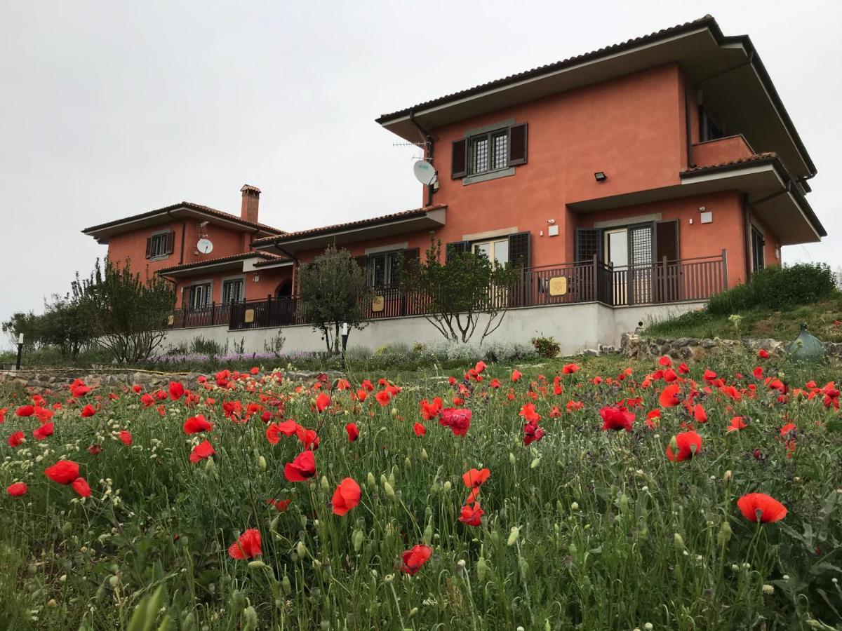 B&B Bee Frascati Exteriér fotografie